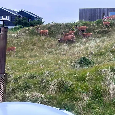 Ferienhaus Summer House With Wilderness Bath Near Henne Oksbøl